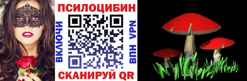 Псилоцибиновые грибы прущие грибы Березники